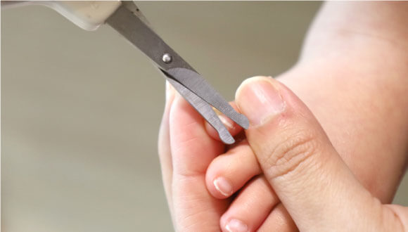 爪切り、承ります